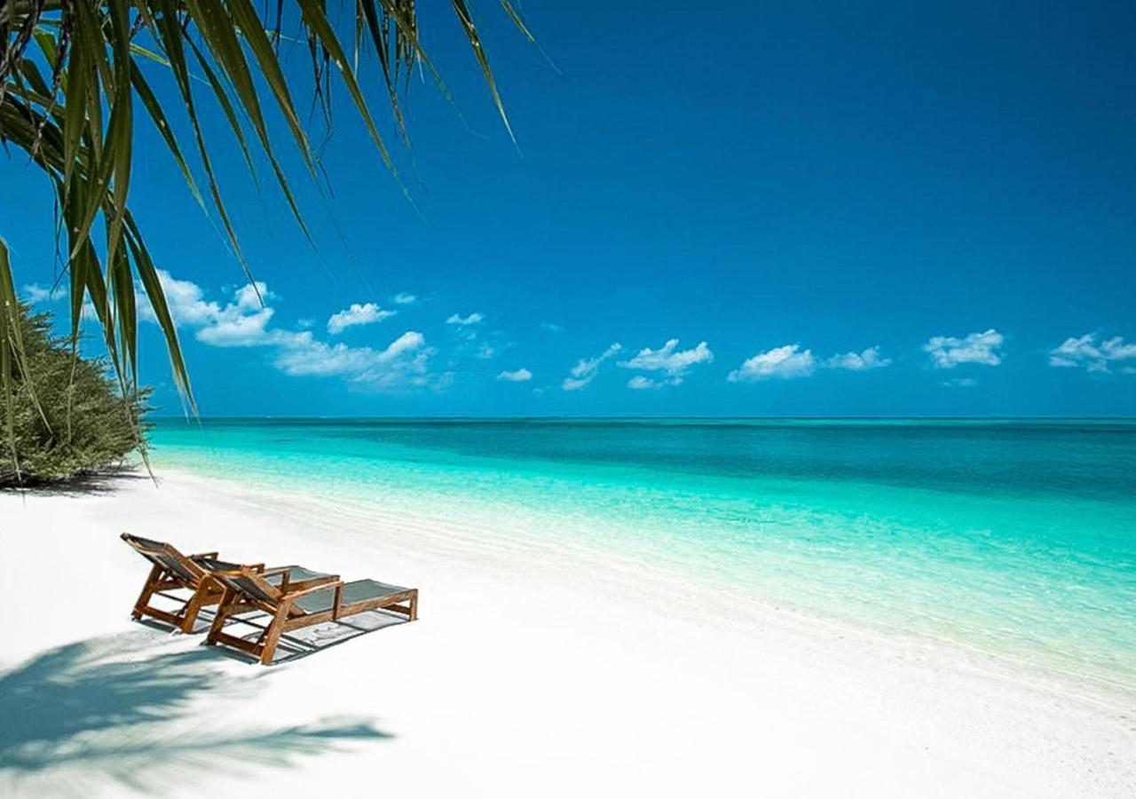 Отель Tropical Tree Fehendhoo Экстерьер фото