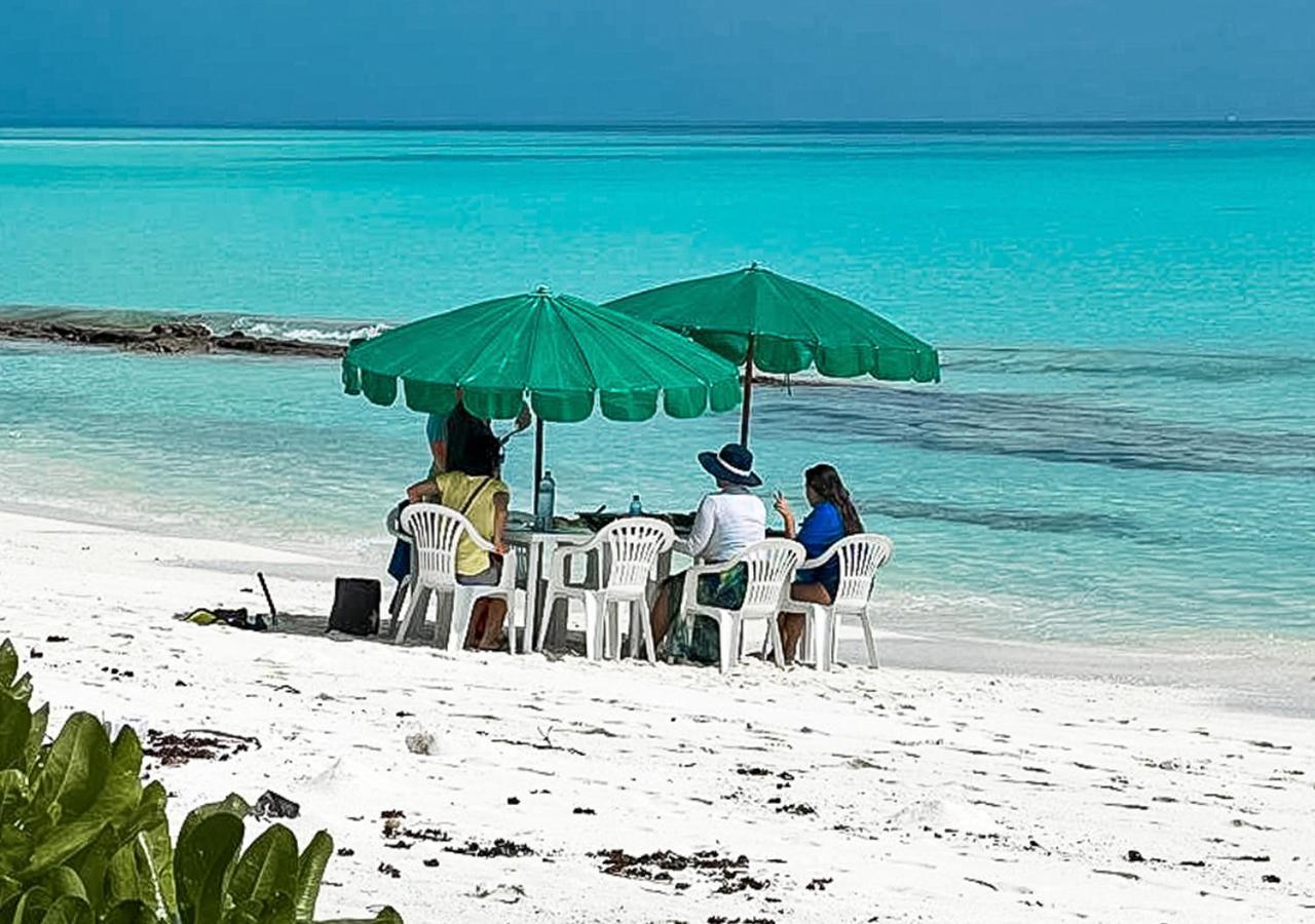 Отель Tropical Tree Fehendhoo Экстерьер фото