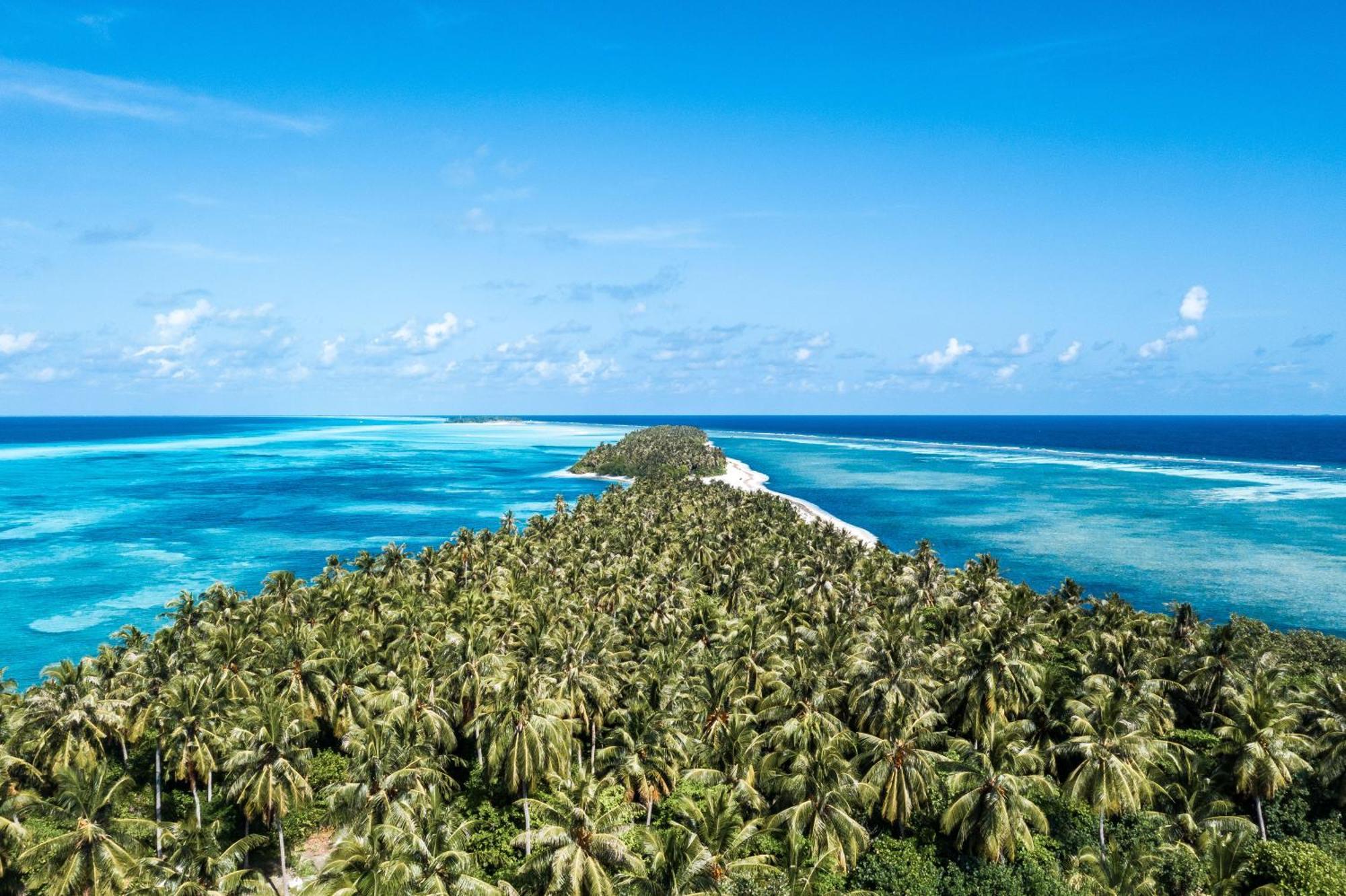 Отель Tropical Tree Fehendhoo Экстерьер фото