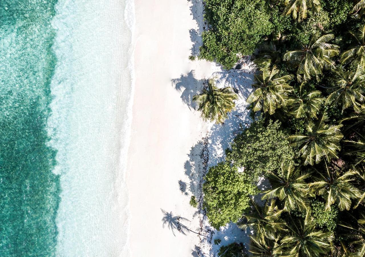 Отель Tropical Tree Fehendhoo Экстерьер фото